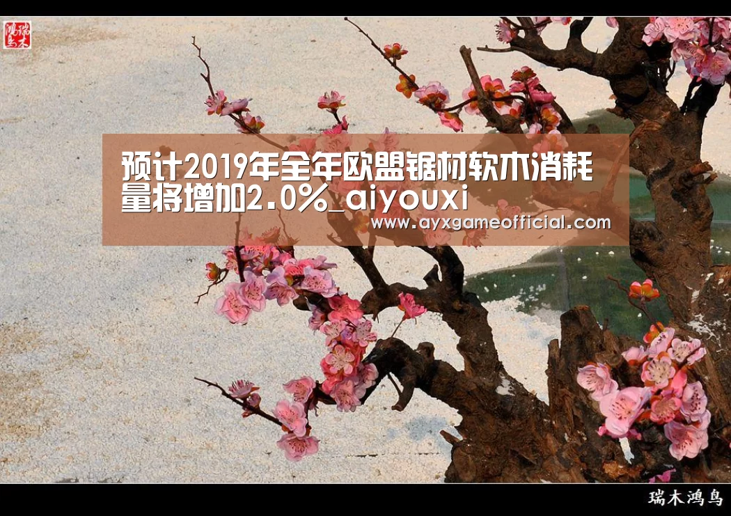 爱游戏中国官网