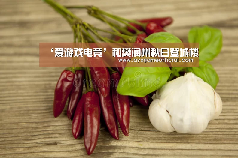 爱游戏中国官网
