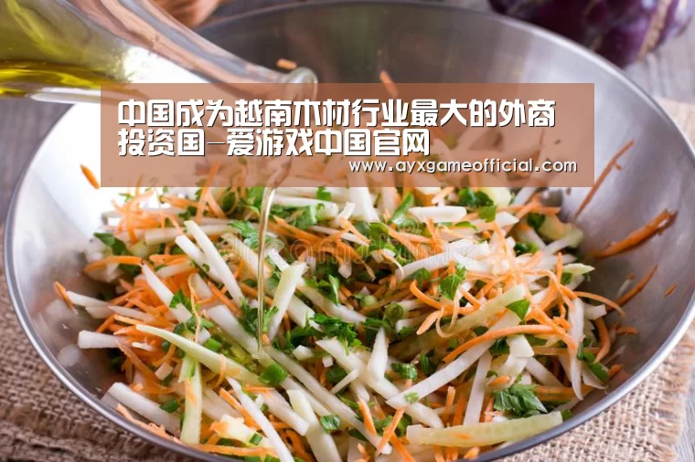 中国成为越南木材行业最大的外商投资国-爱游戏中国官网(图1)