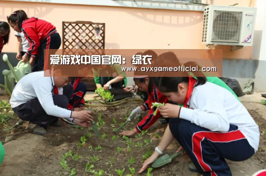 爱游戏中国官网：绿衣(图1)