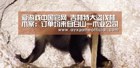 爱游戏电竞